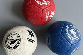 Dream Ball Ree Sports